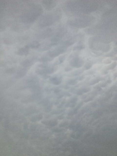 No.10087-1 地震雲