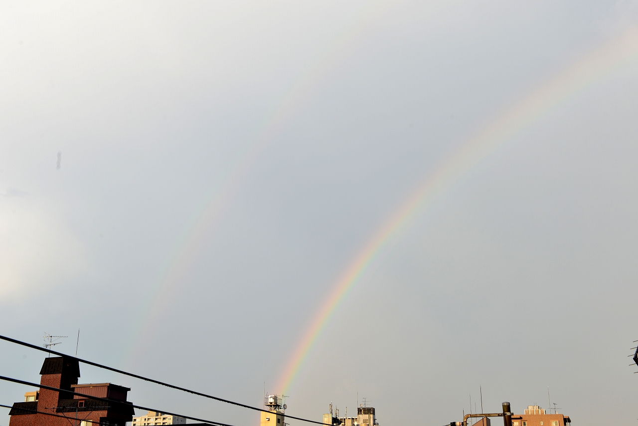 No.10139-1 地震雲