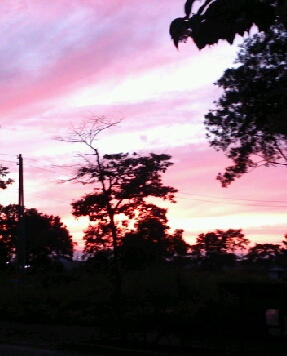 No.10181-1 地震雲