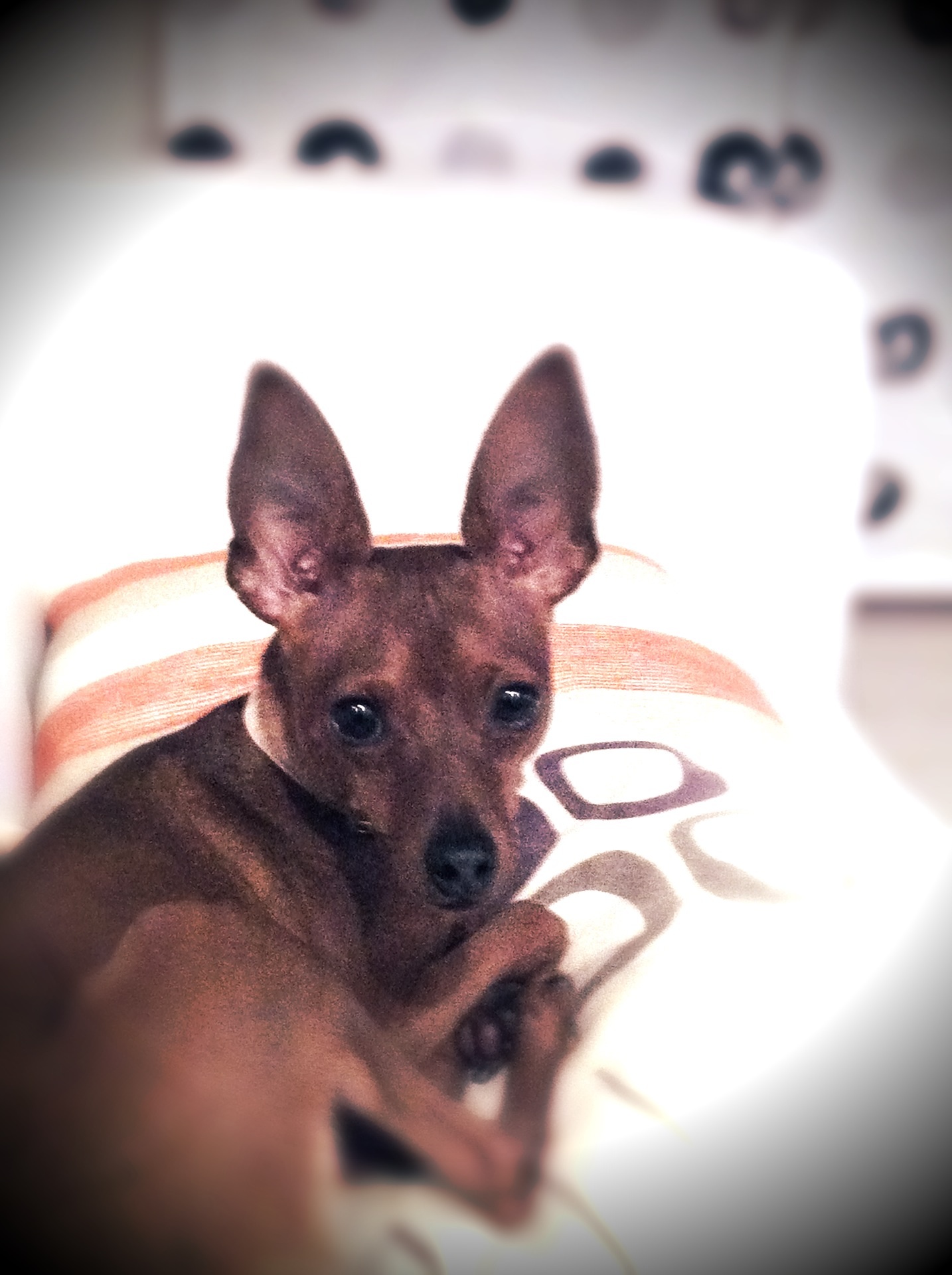 No.10191-1 地震雲