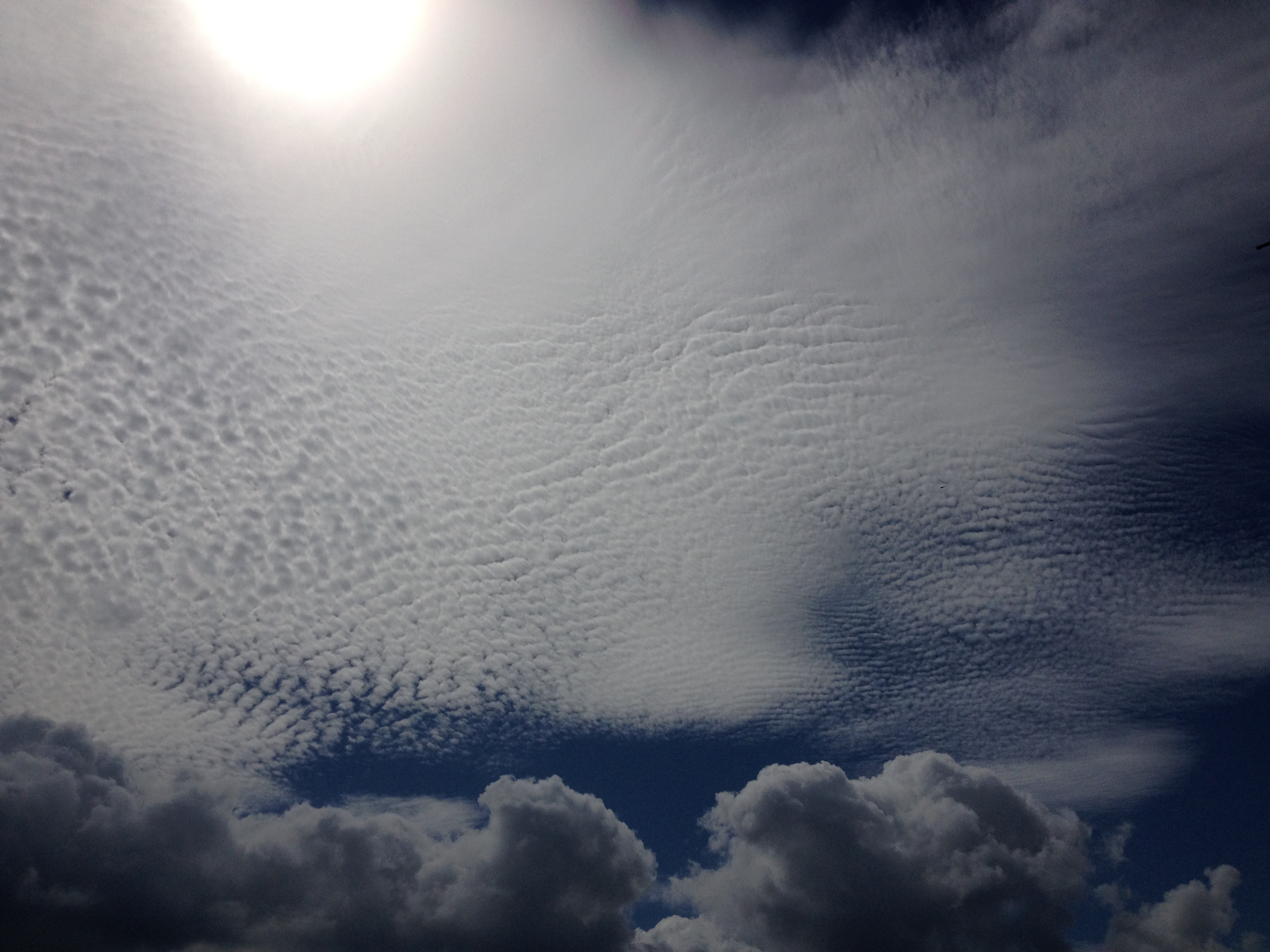 No.10654-1 地震雲