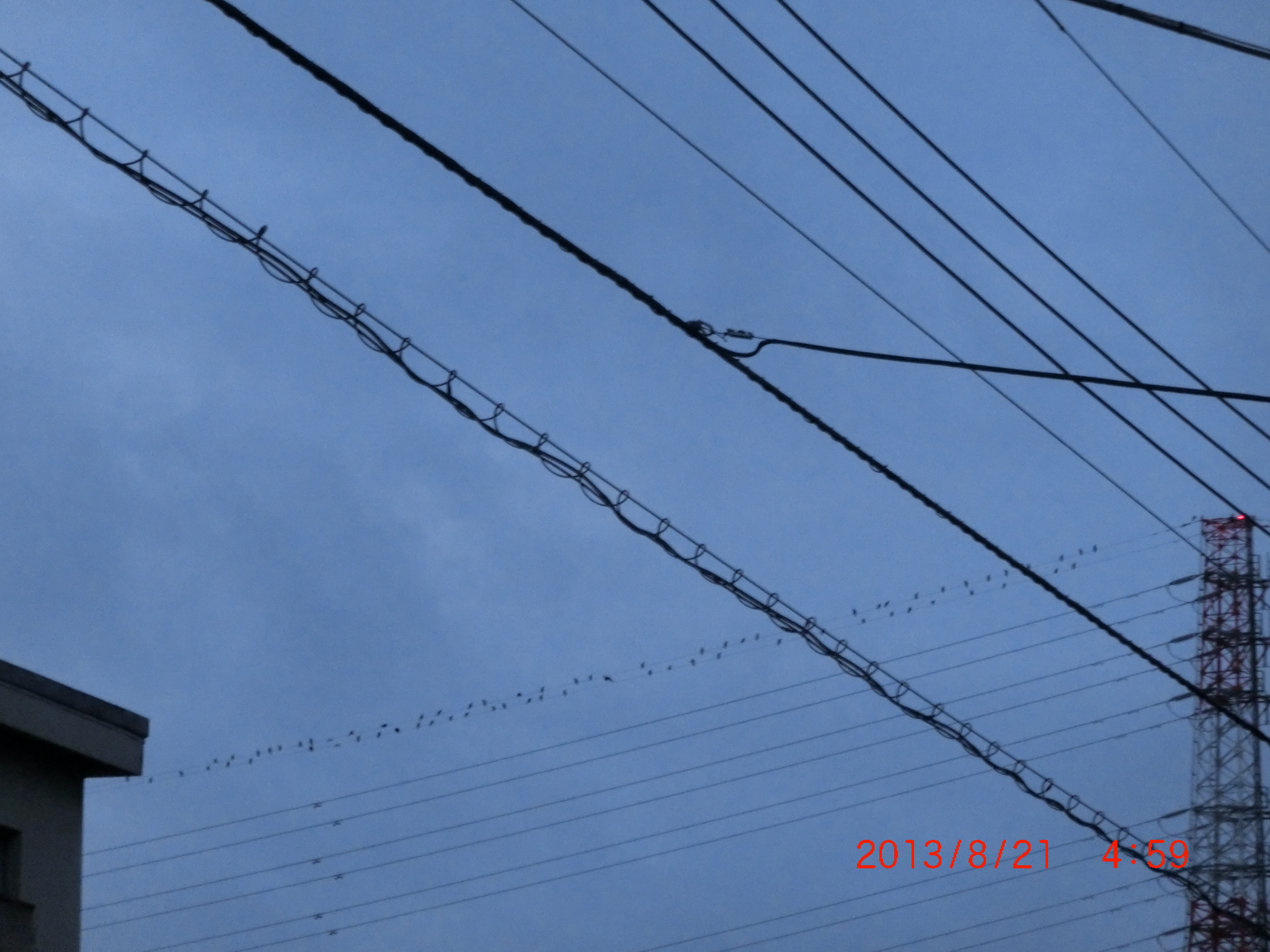 No.11221-1 地震雲