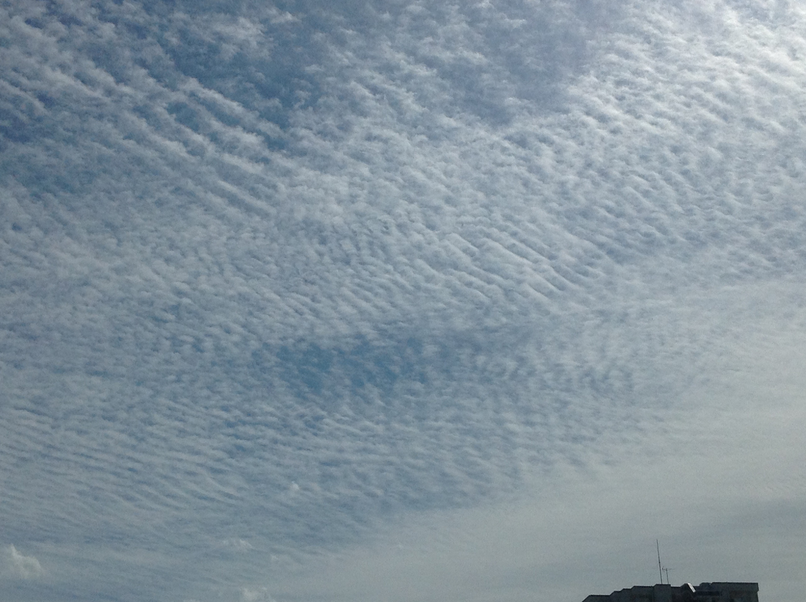 No.11454-1 地震雲