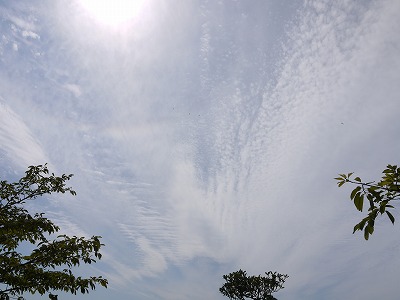 No.12228-1 地震雲