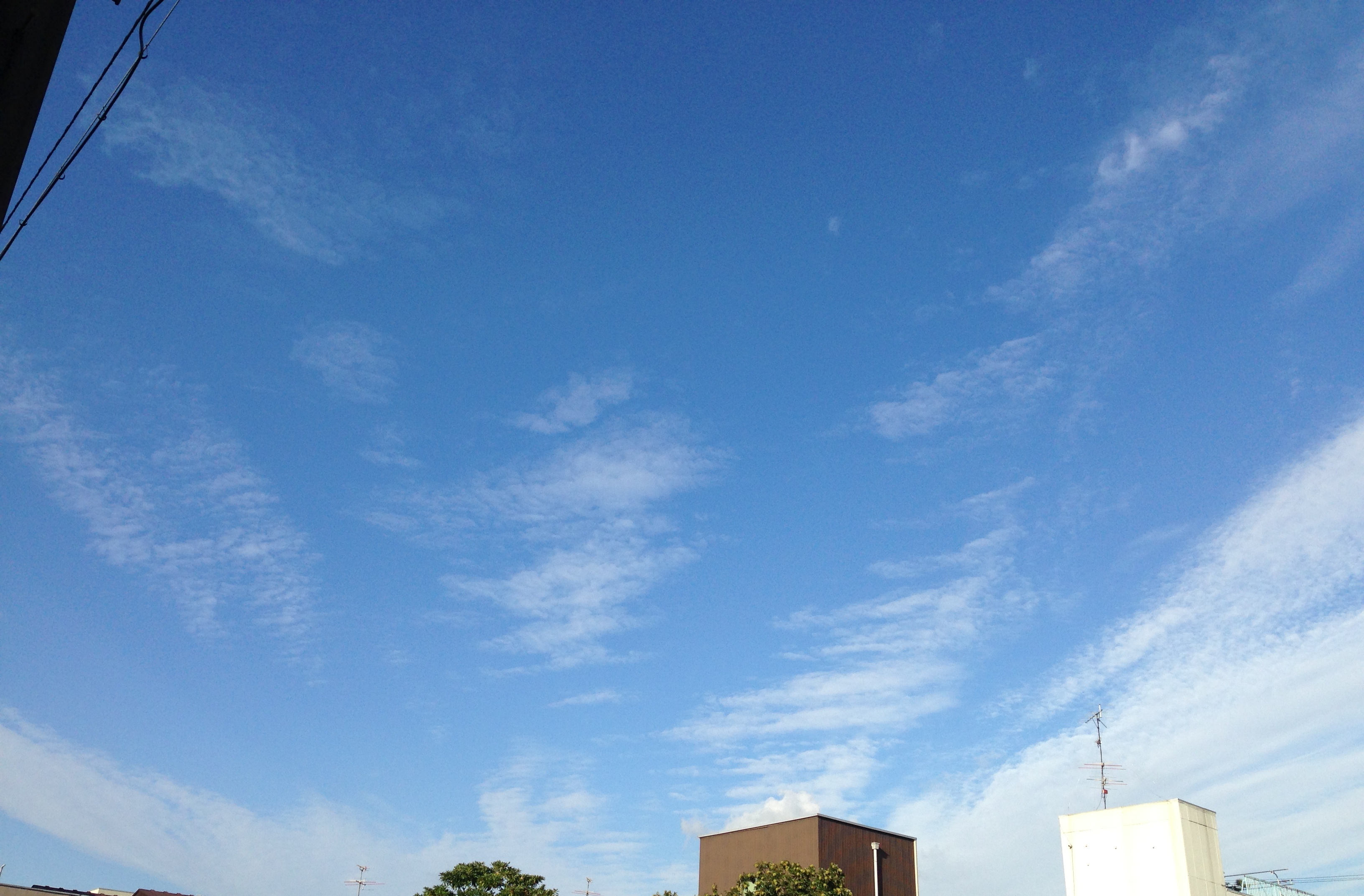 No.12445-1 地震雲