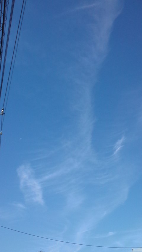 No.12528-1 地震雲