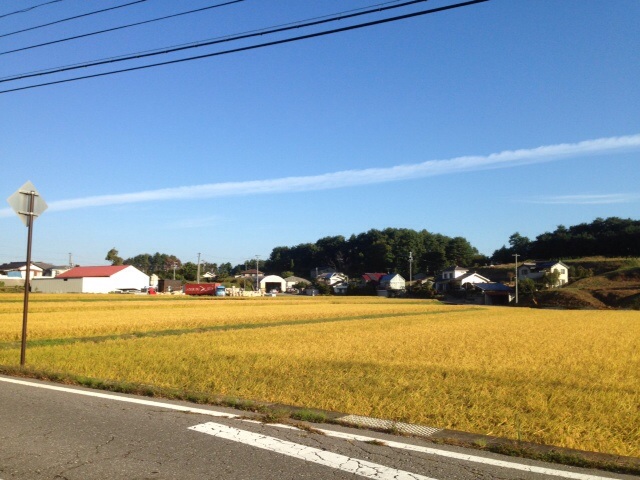 No.12537-1 地震雲