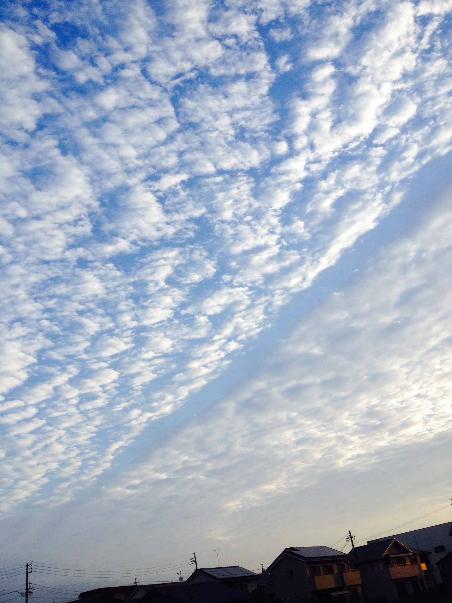 No.12641-1 地震雲