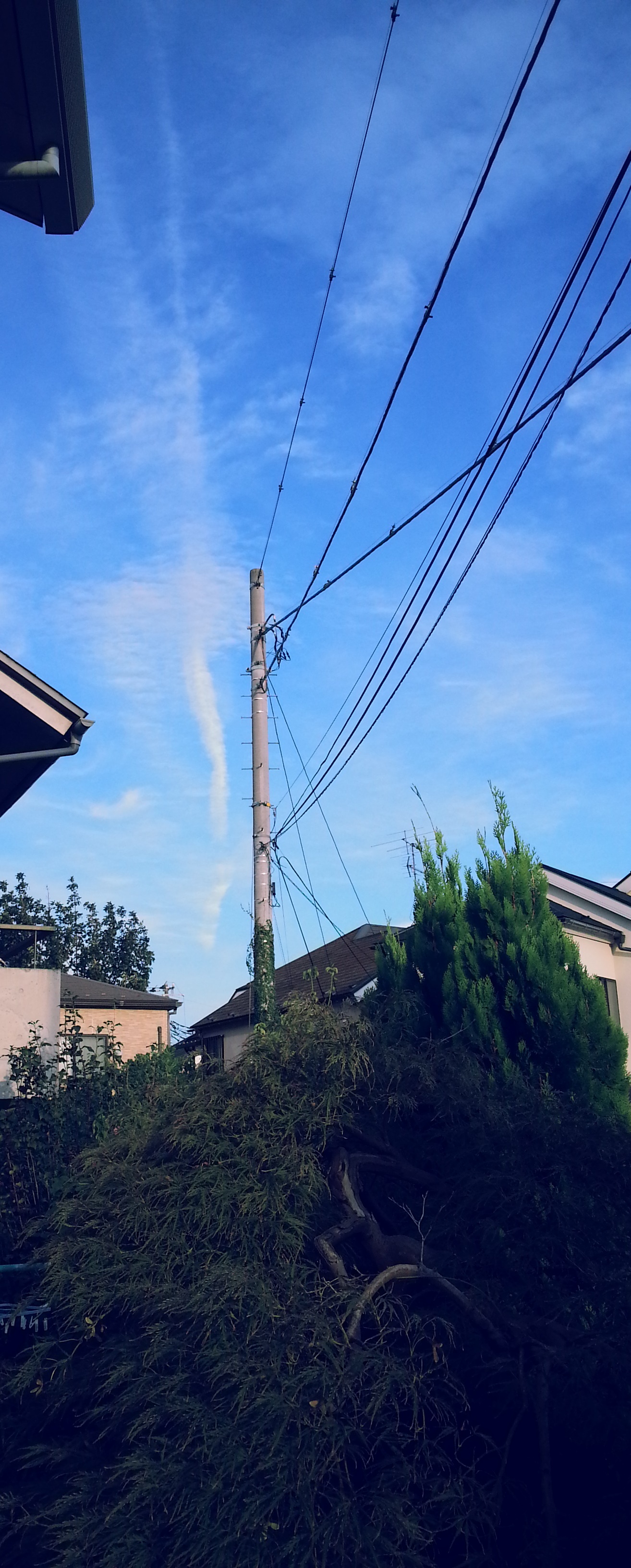 No.12931-1 地震雲