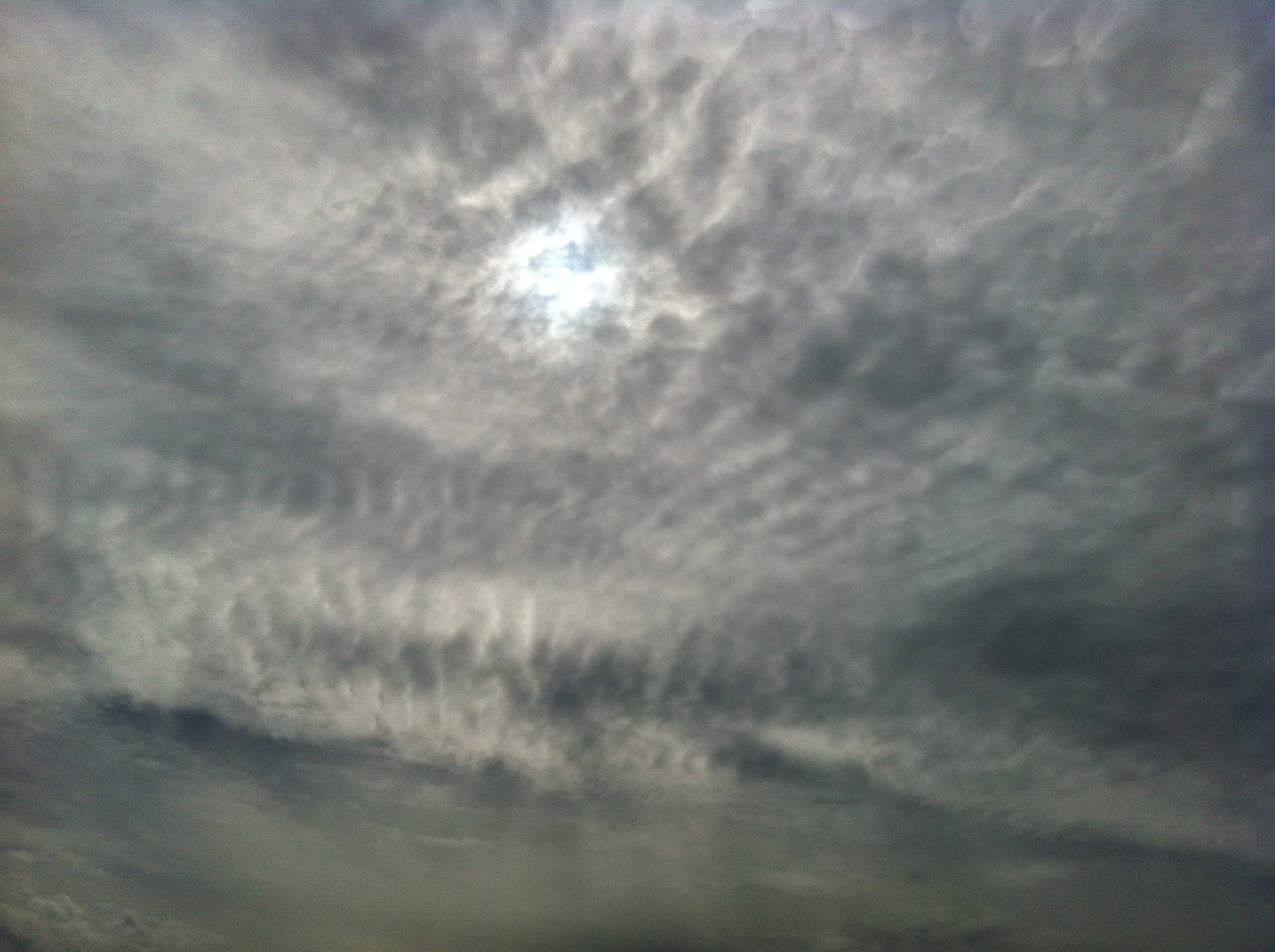 No.13110-1 地震雲