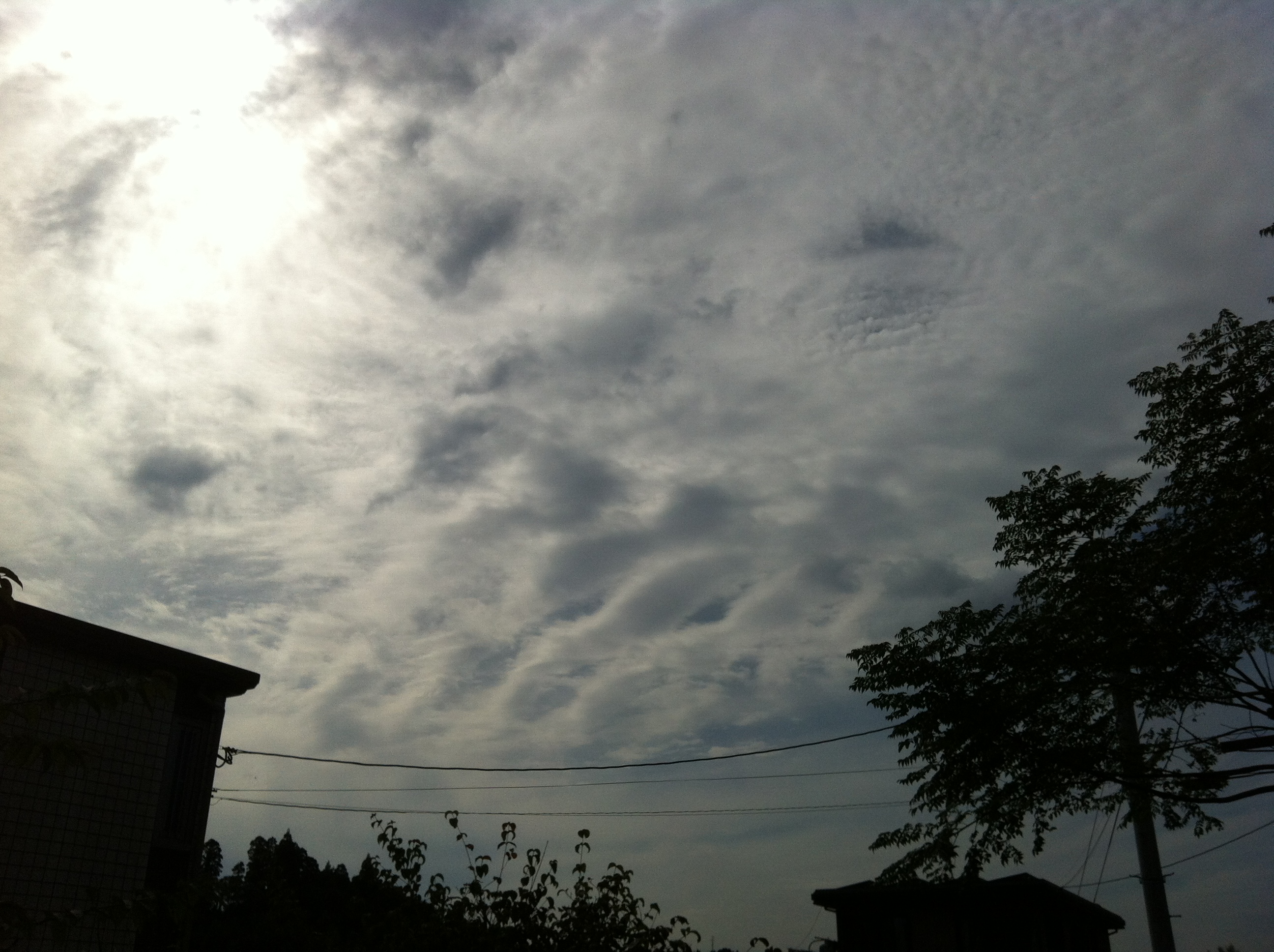 No.13111-1 地震雲