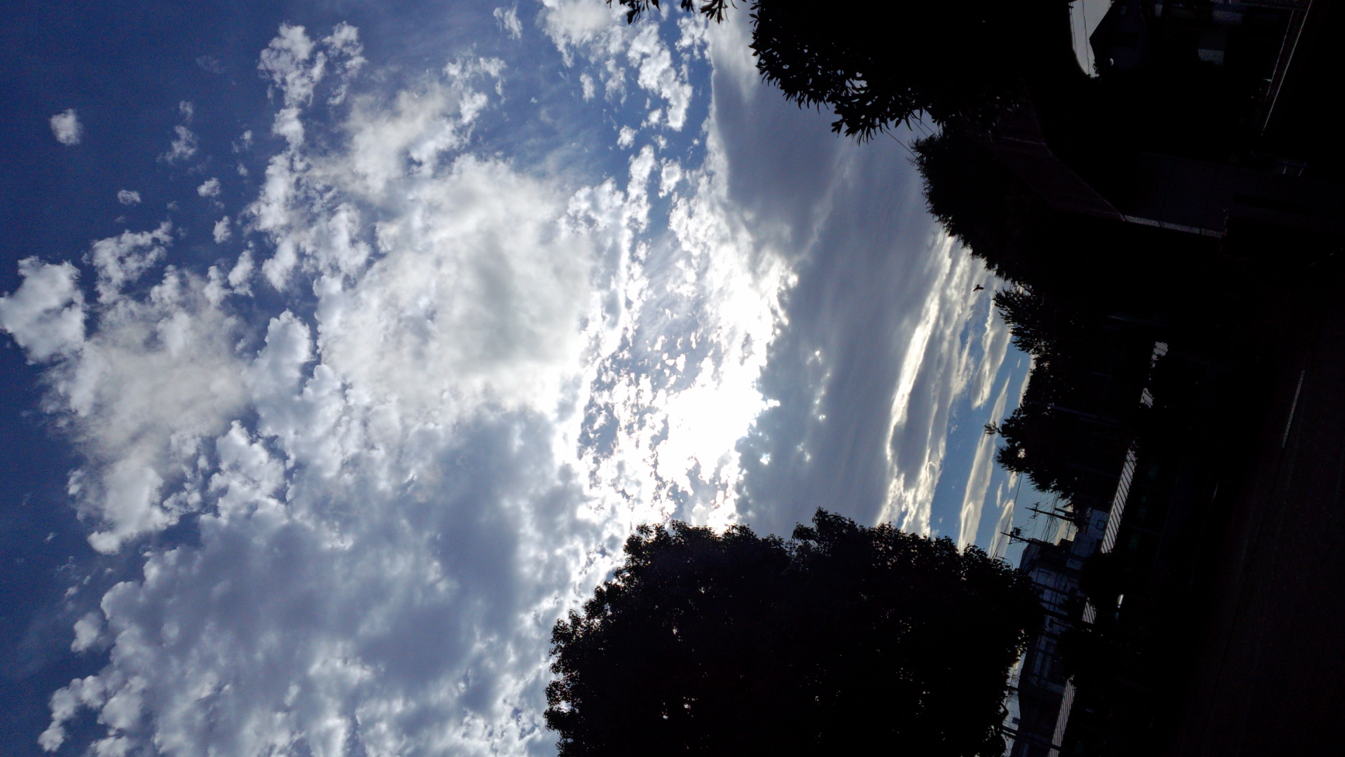 No.13121-1 地震雲