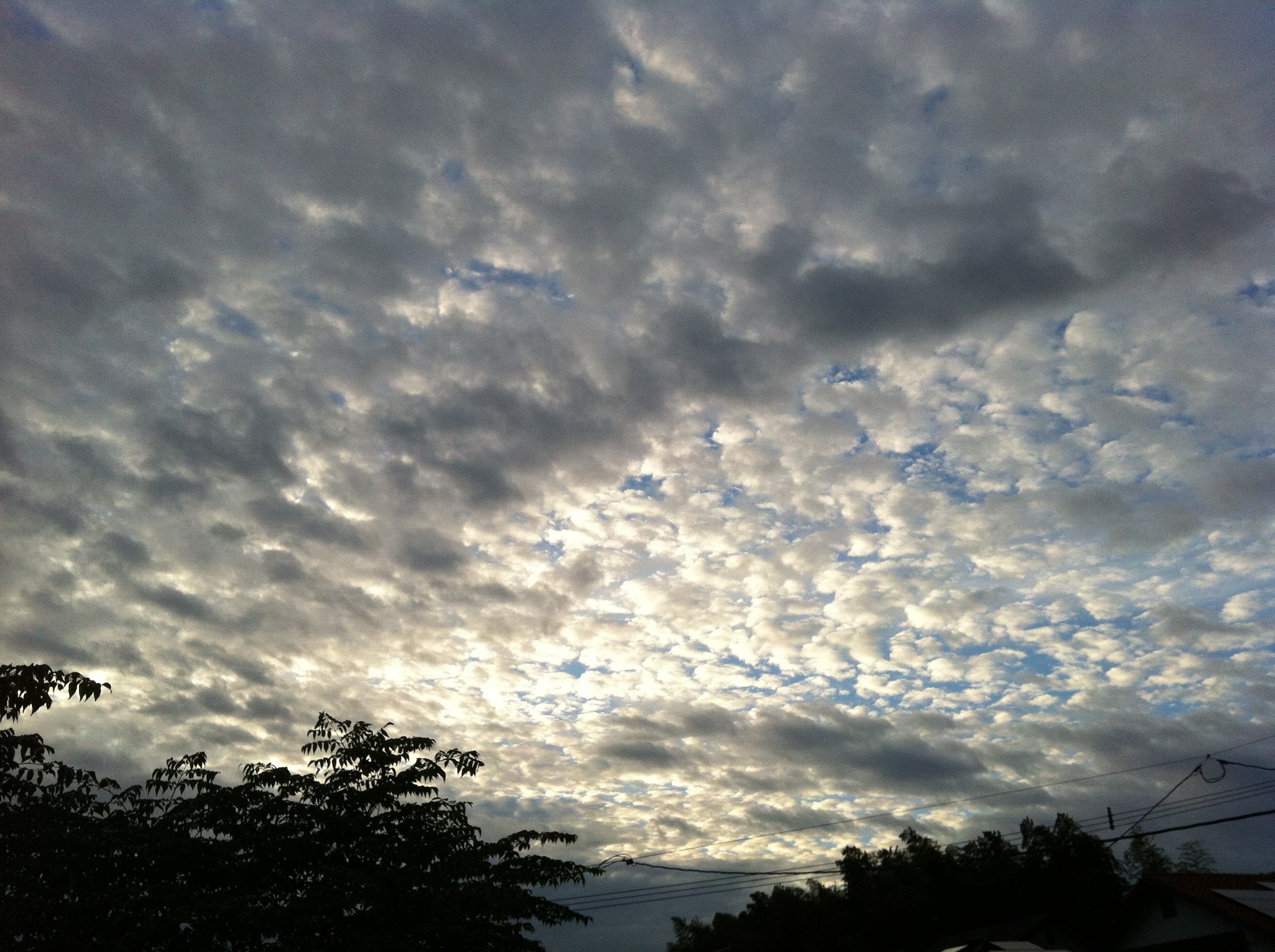 No.13146-1 地震雲