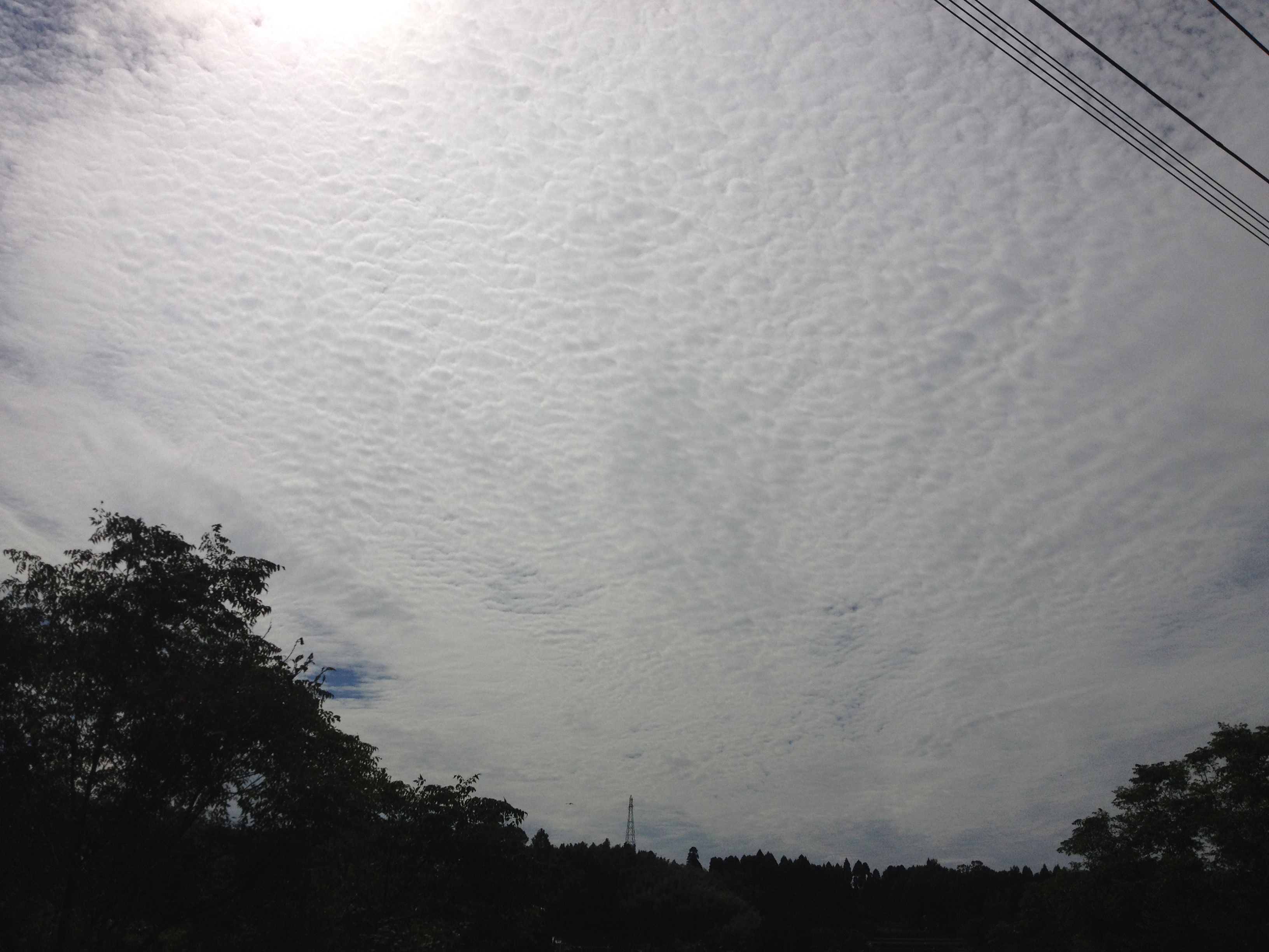 No.13171-1 地震雲