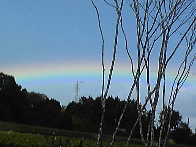 No.13594-1 地震雲