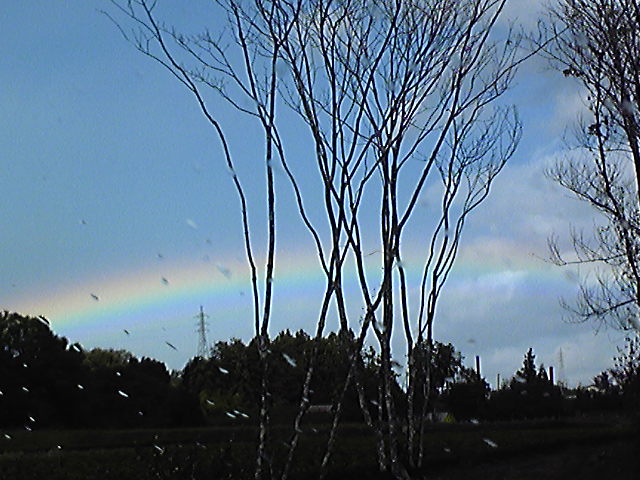 No.13602-1 地震雲