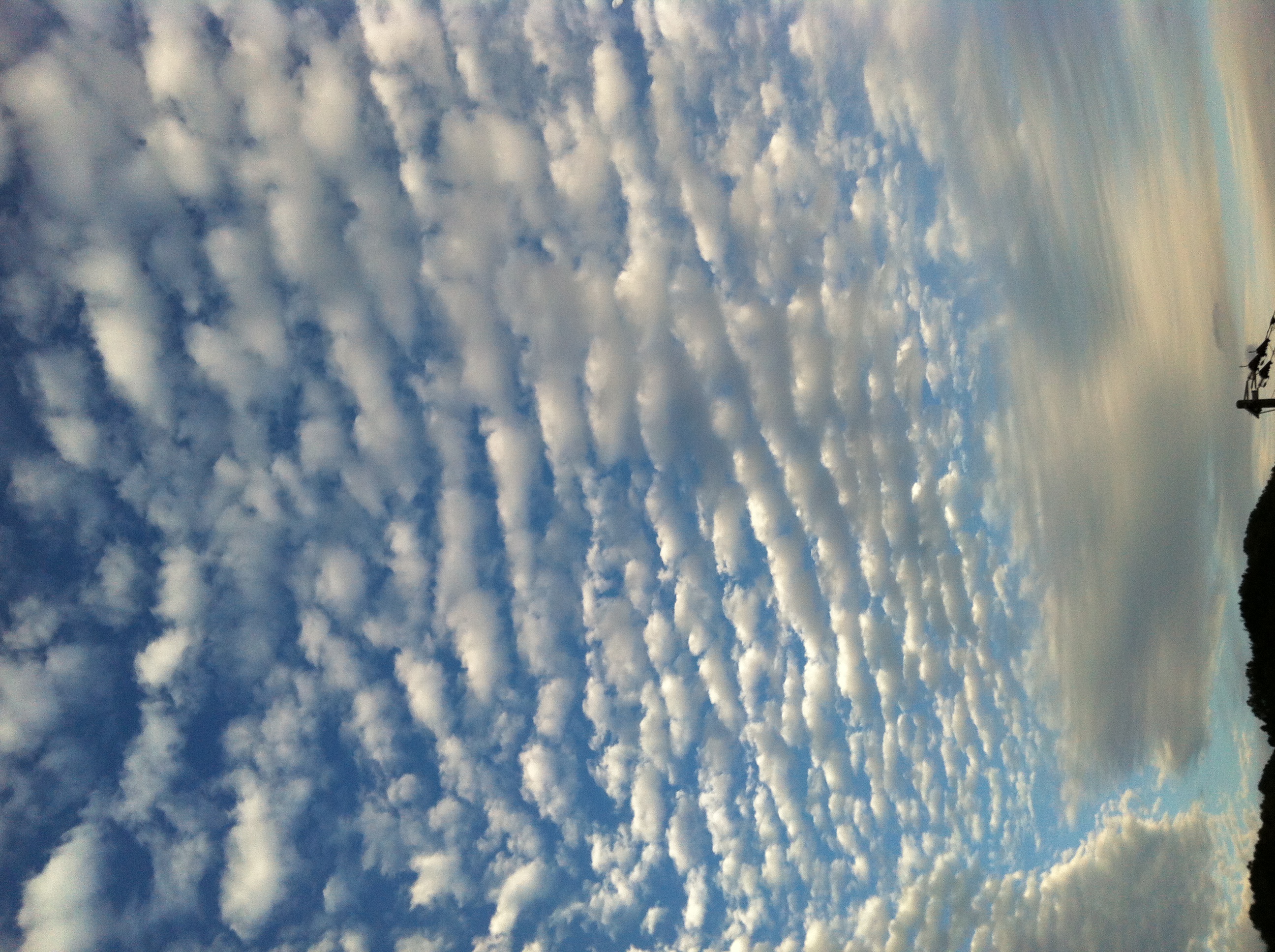 No.13616-1 地震雲