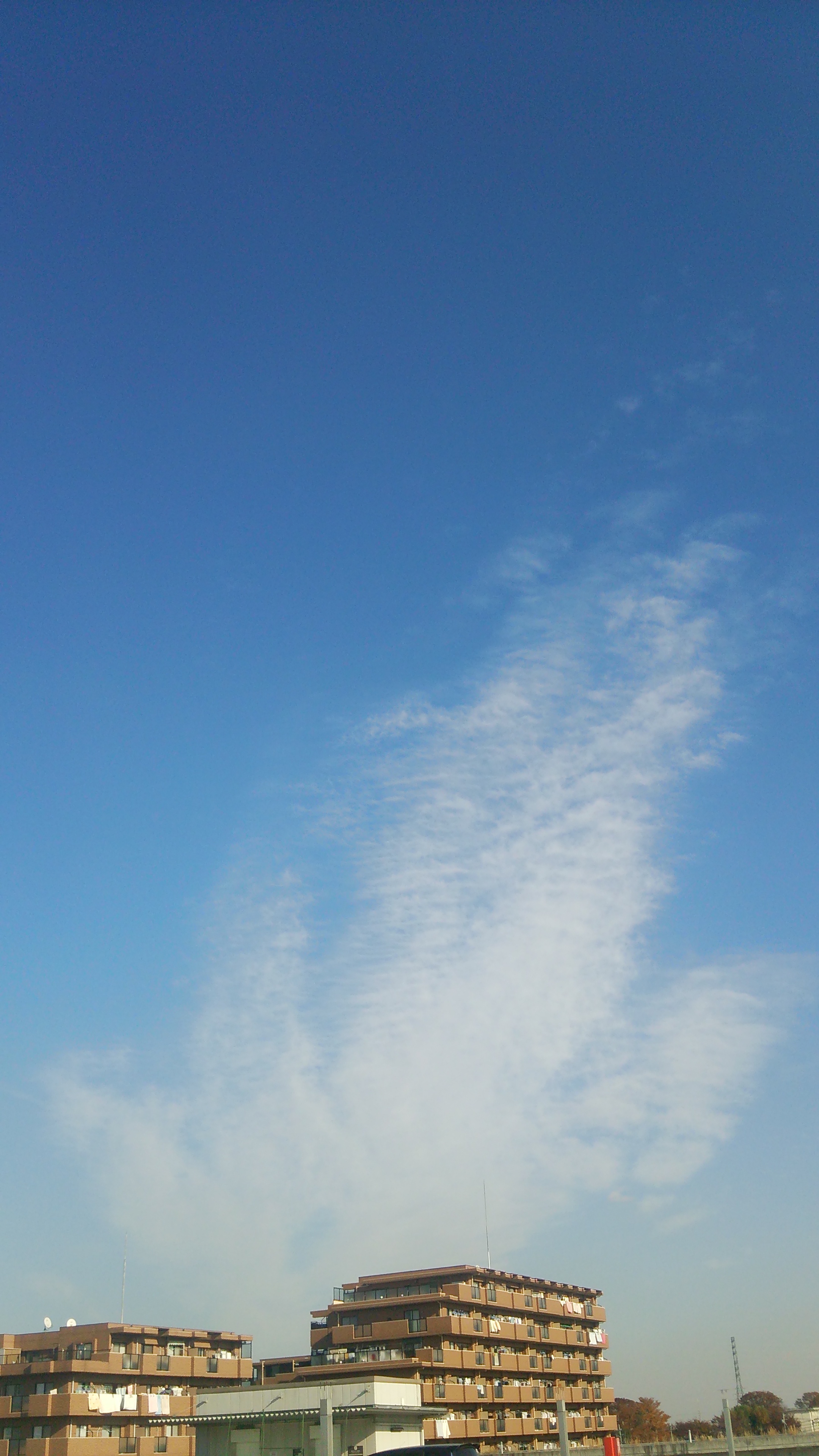 No.13831-1 地震雲