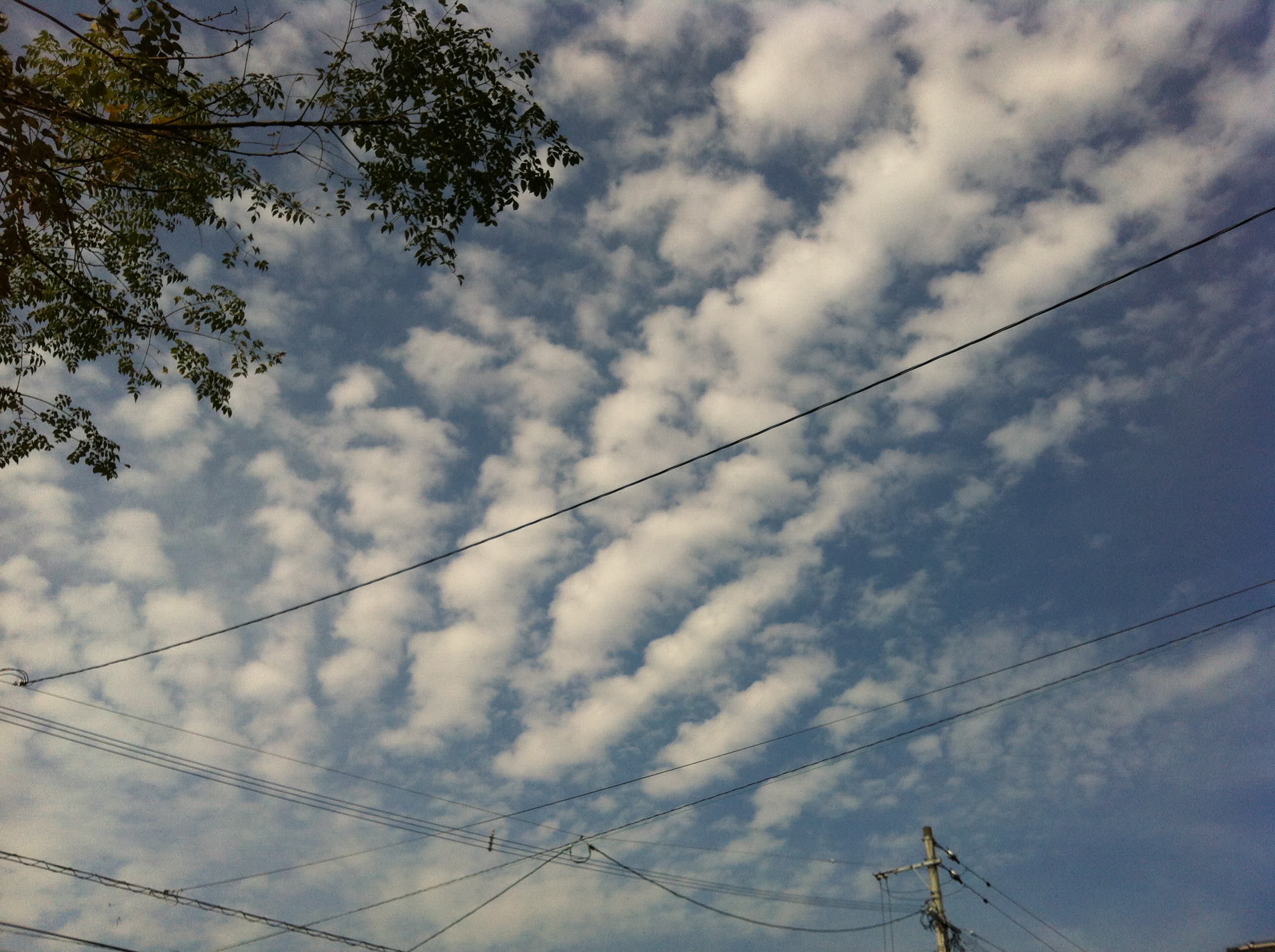 No.13894-1 地震雲