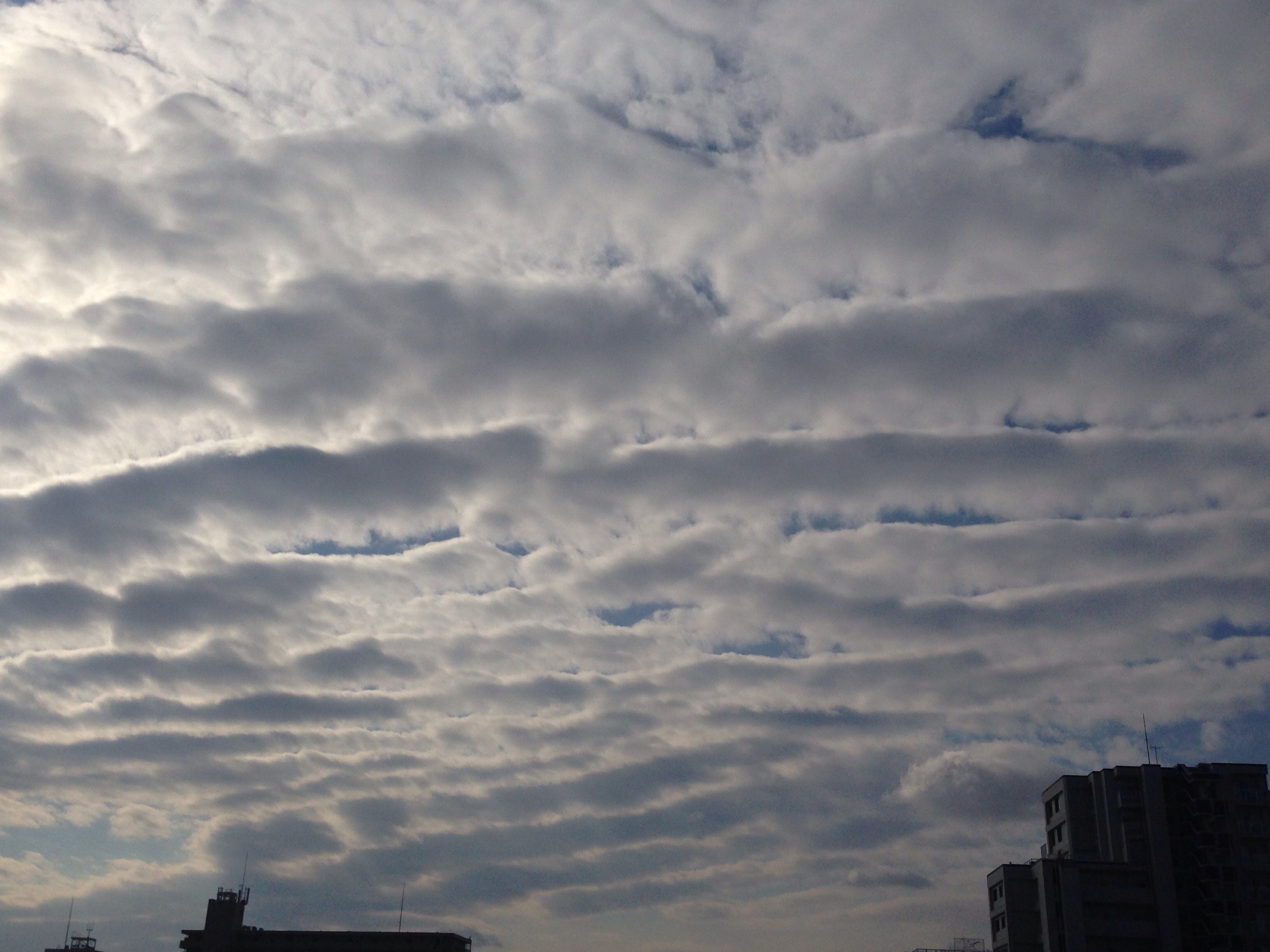 No.14252-1 地震雲