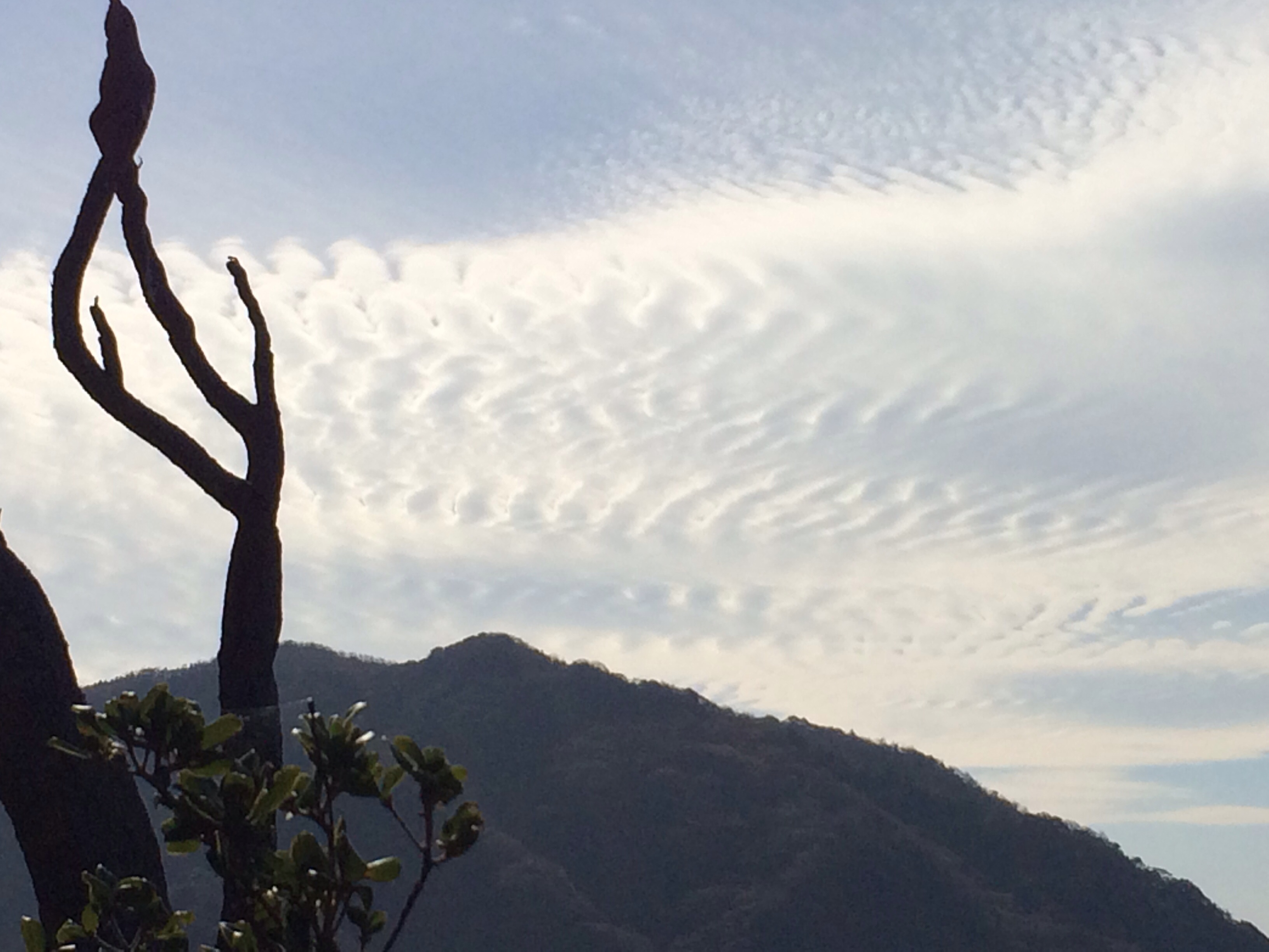 No.14390-1 地震雲