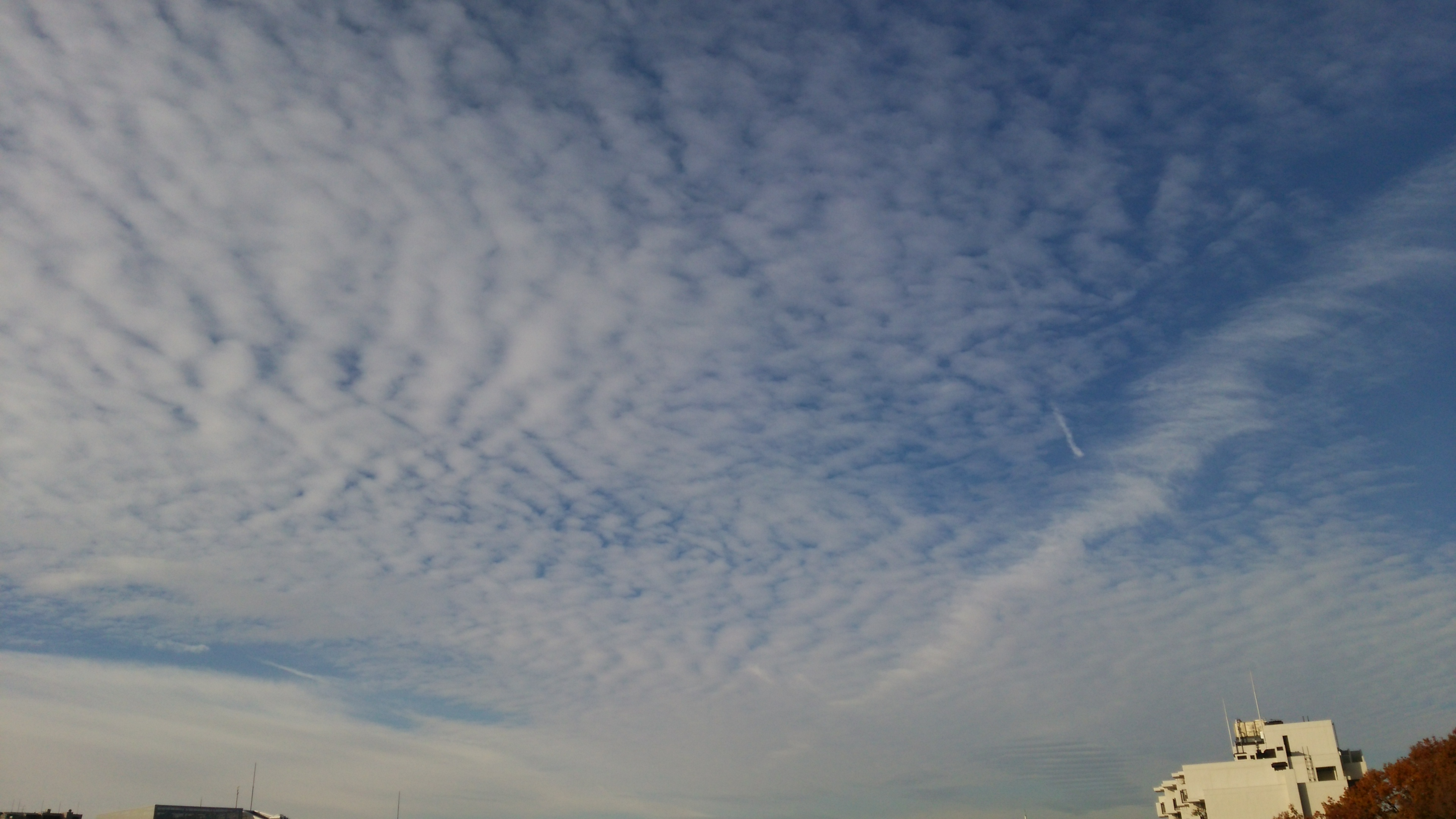 No.14552-1 地震雲