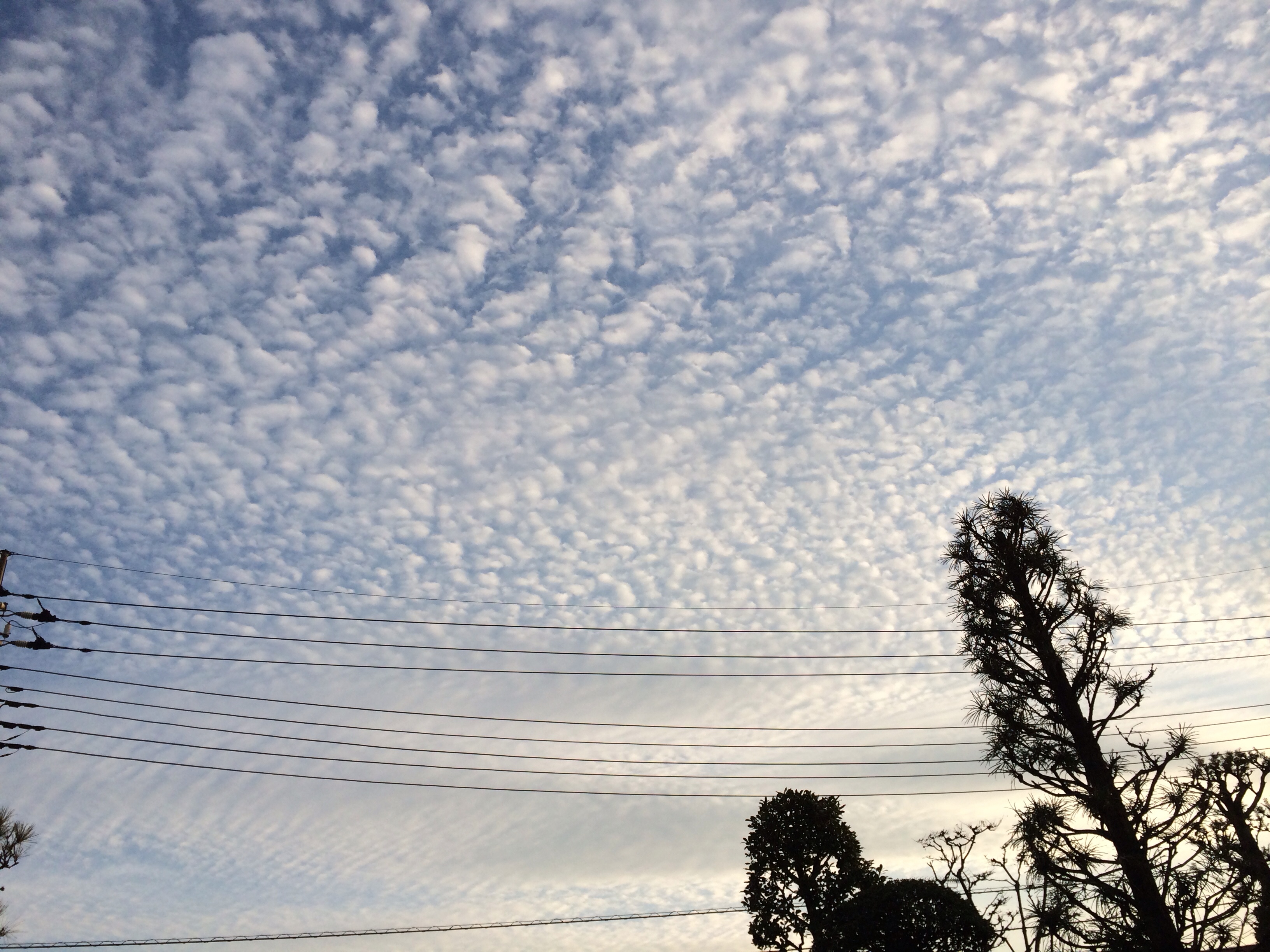 No.14996-1 地震雲