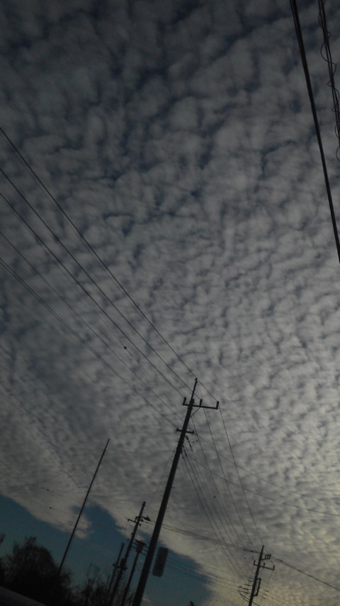 No.15081-1 地震雲