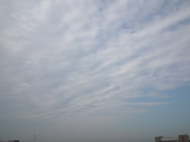 No.15092-1 地震雲