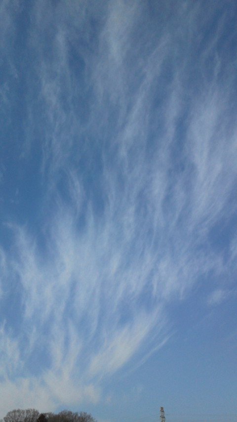 No.15479-1 地震雲