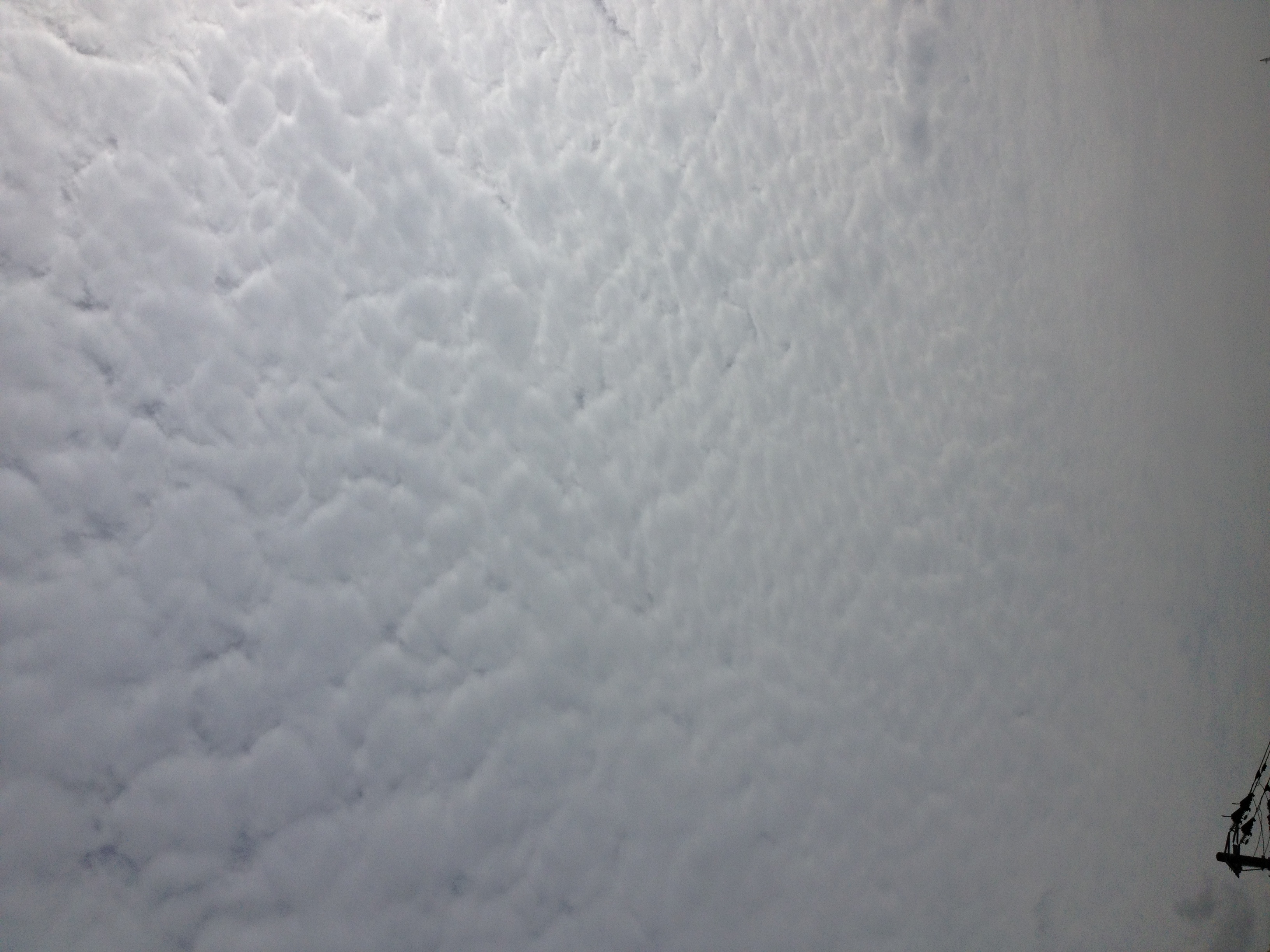 No.15982-1 地震雲