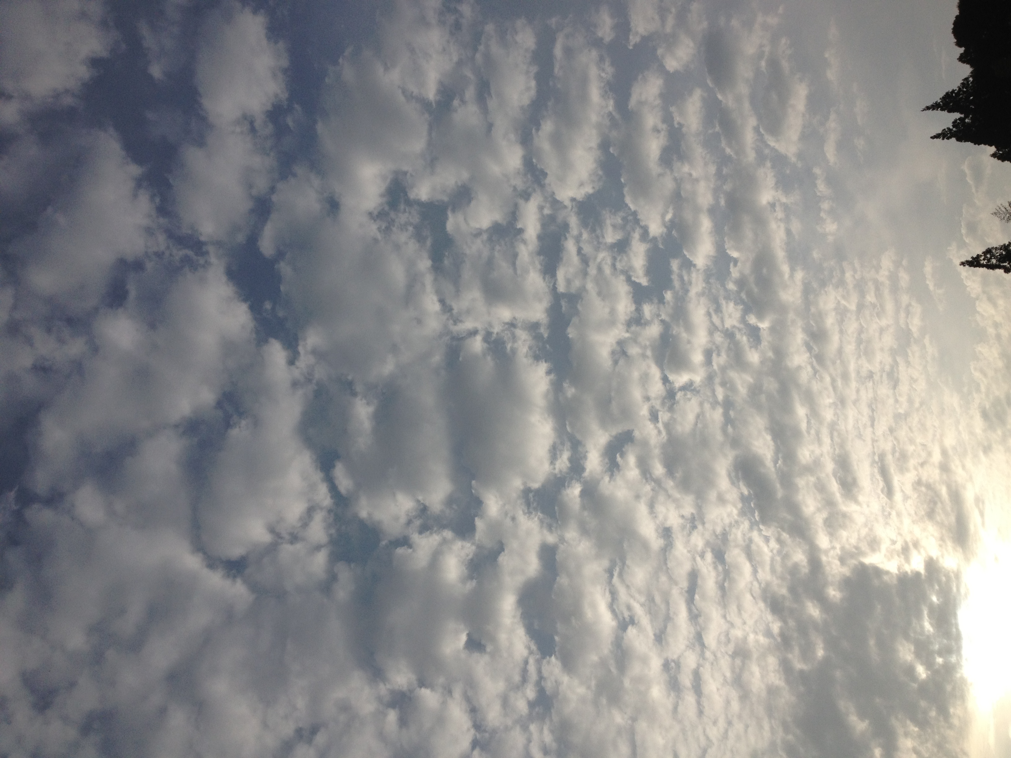 No.16066-1 地震雲