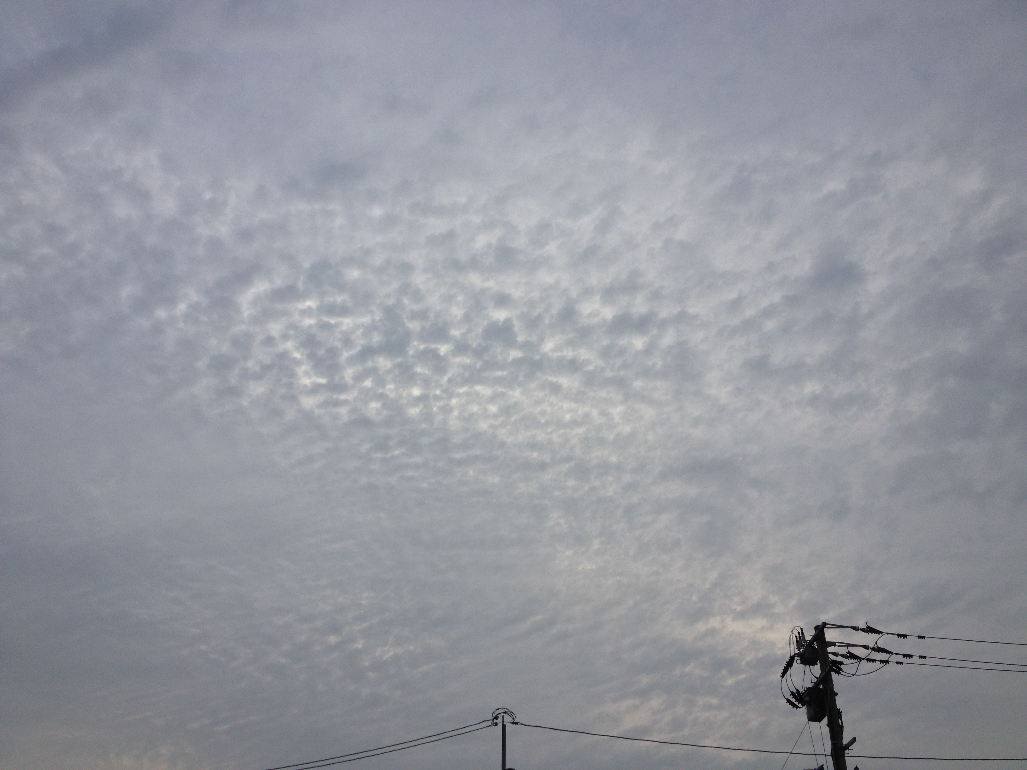 No.16067-1 地震雲