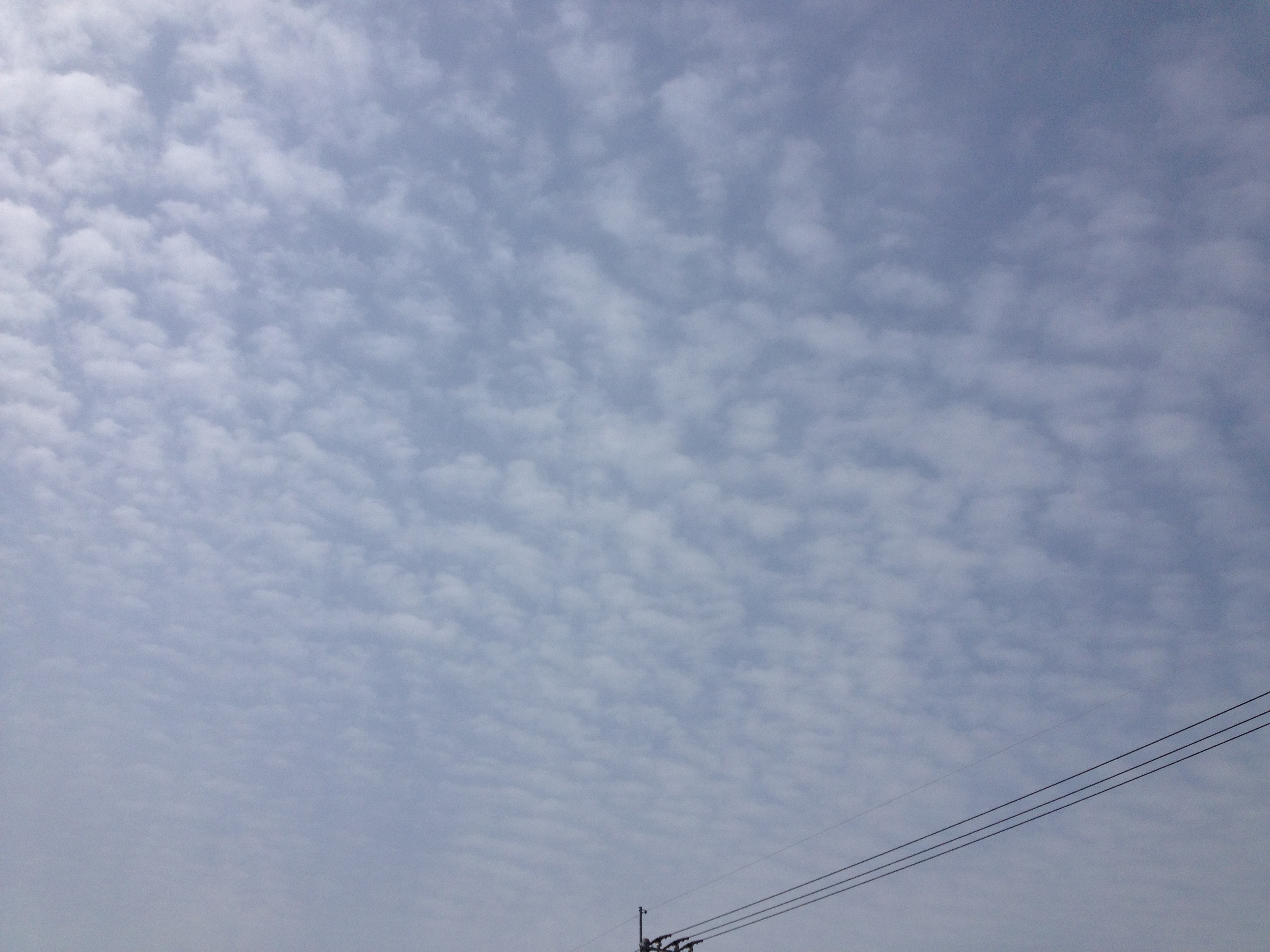 No.16239-1 地震雲