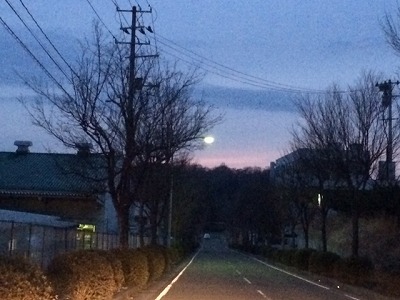 No.16337-1 地震雲