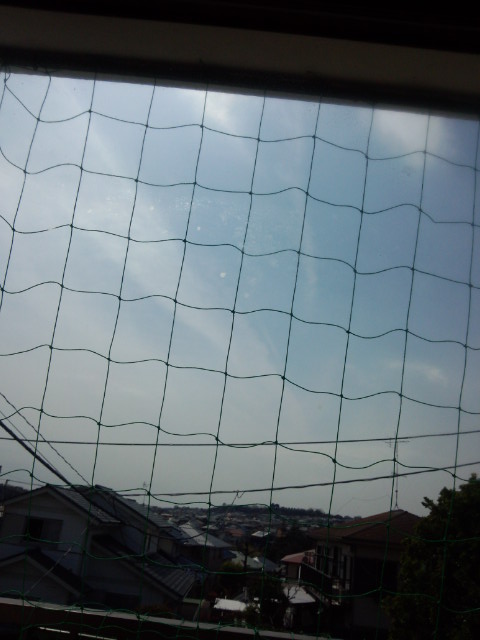 No.16682-1 地震雲