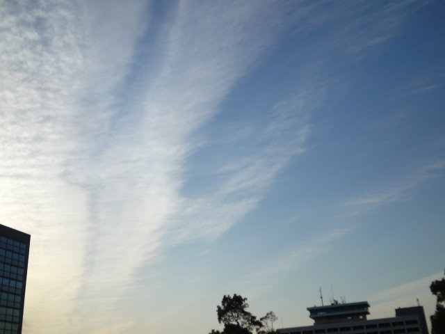 No.16943-1 地震雲