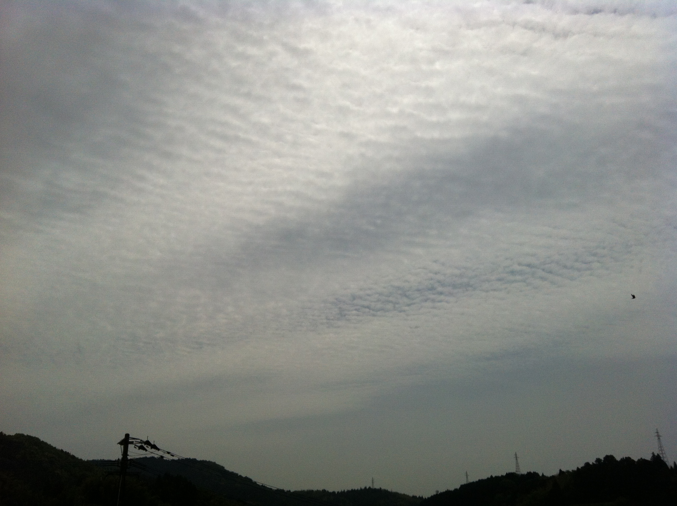 No.17467-1 地震雲