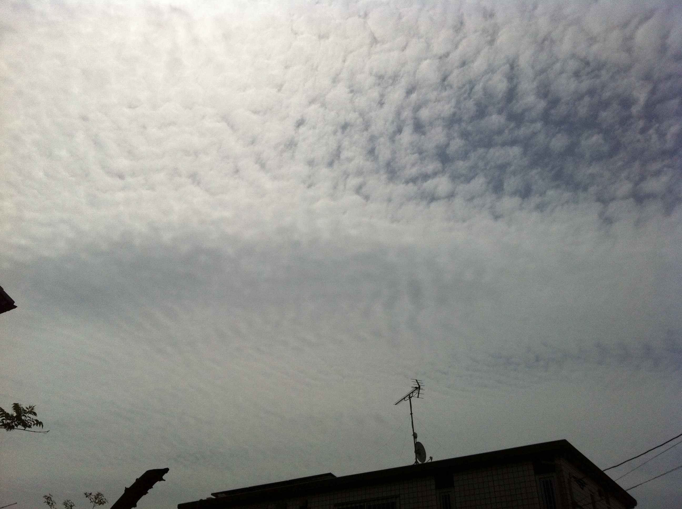 No.17468-1 地震雲