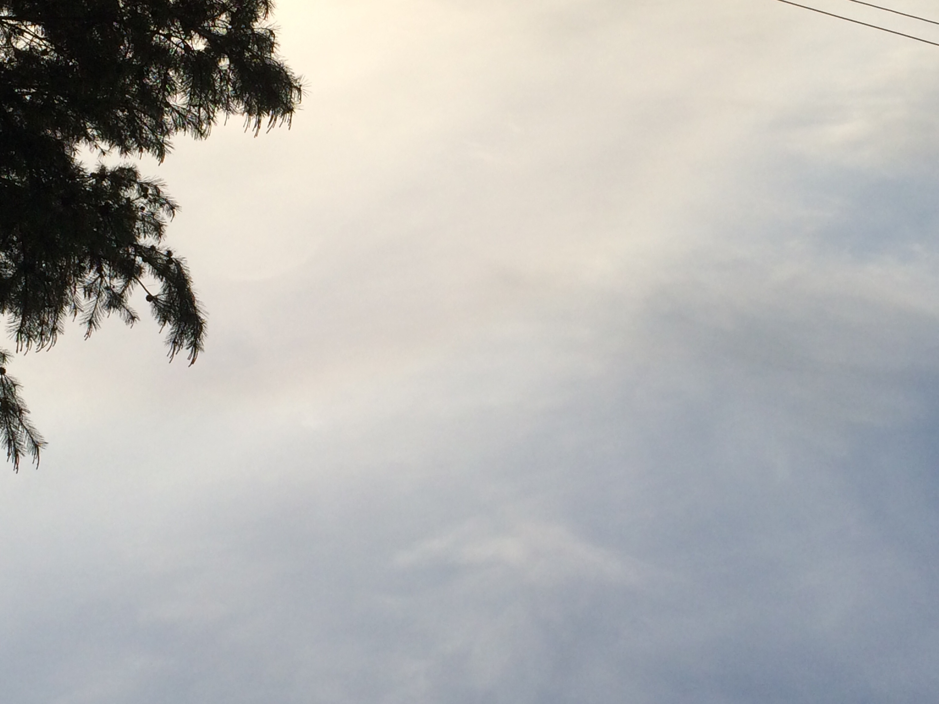 No.17649-1 地震雲