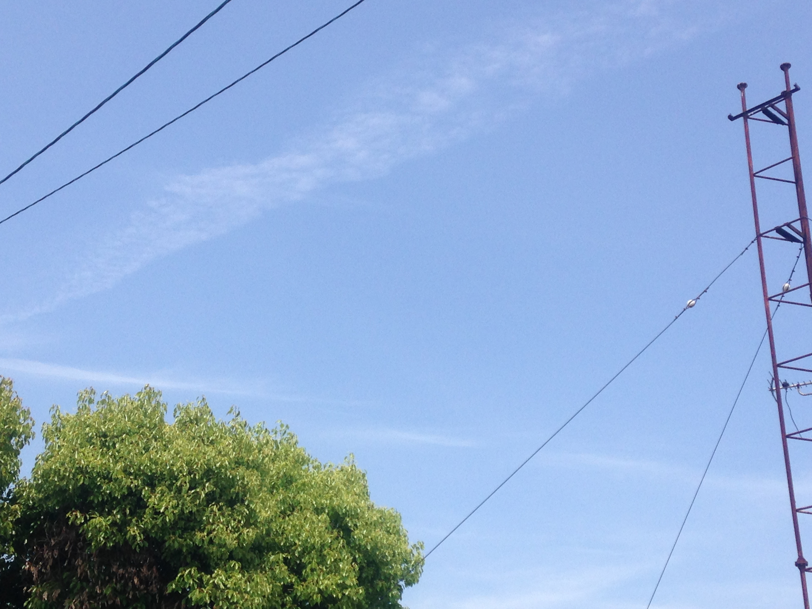 No.17705-1 地震雲