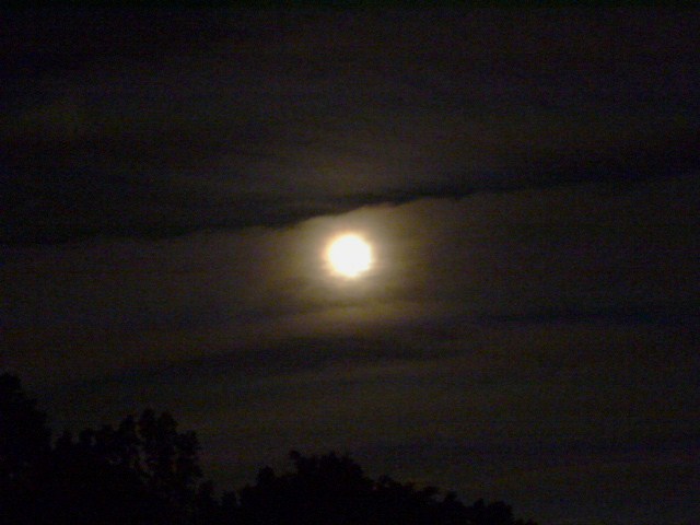 No.17994-1 地震雲