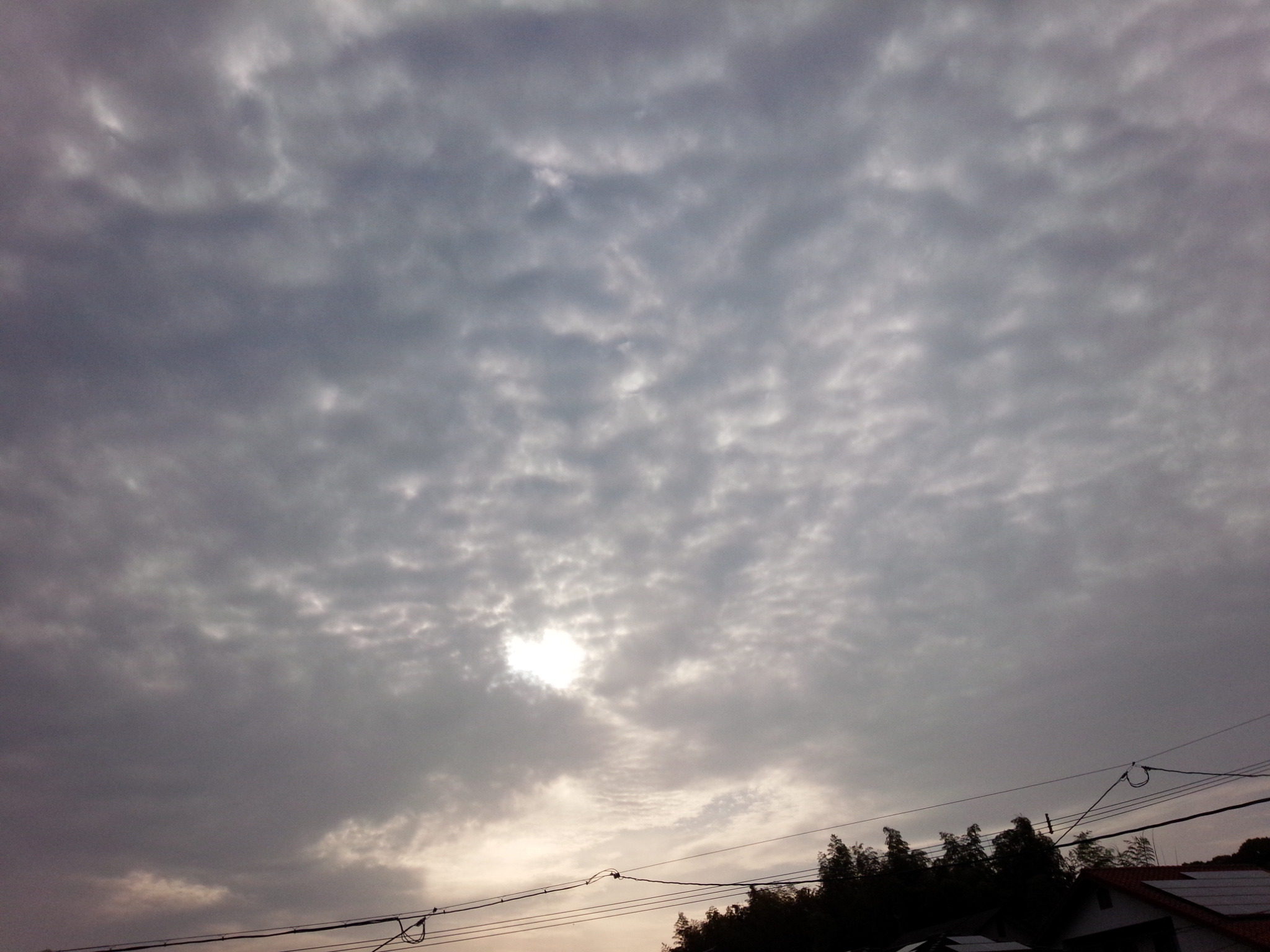 No.18059-1 地震雲