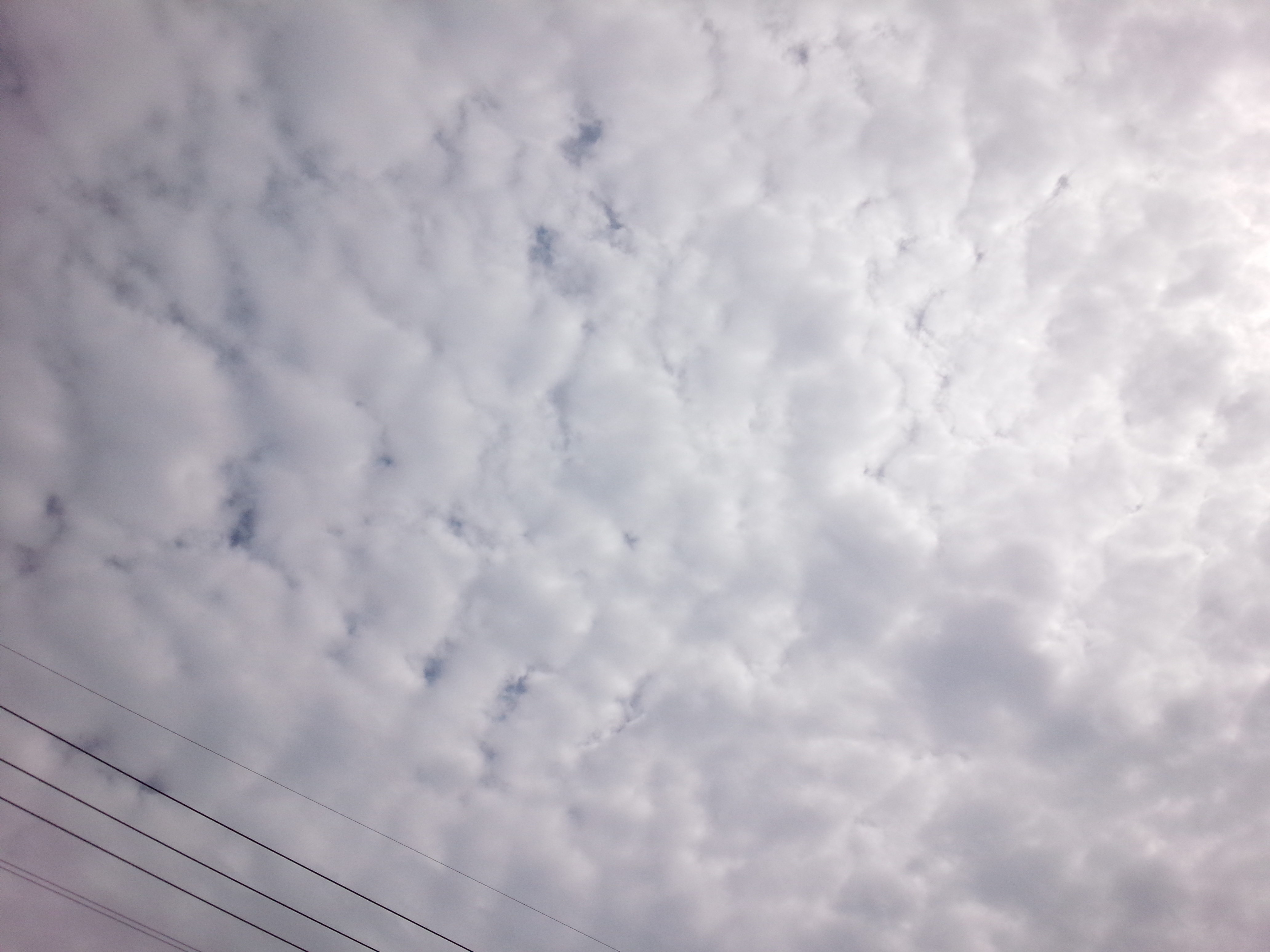 No.18066-1 地震雲