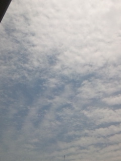 No.18590-1 地震雲