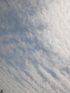 No.18591-1 地震雲