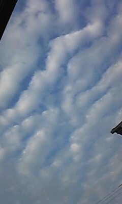 No.18620-1 地震雲