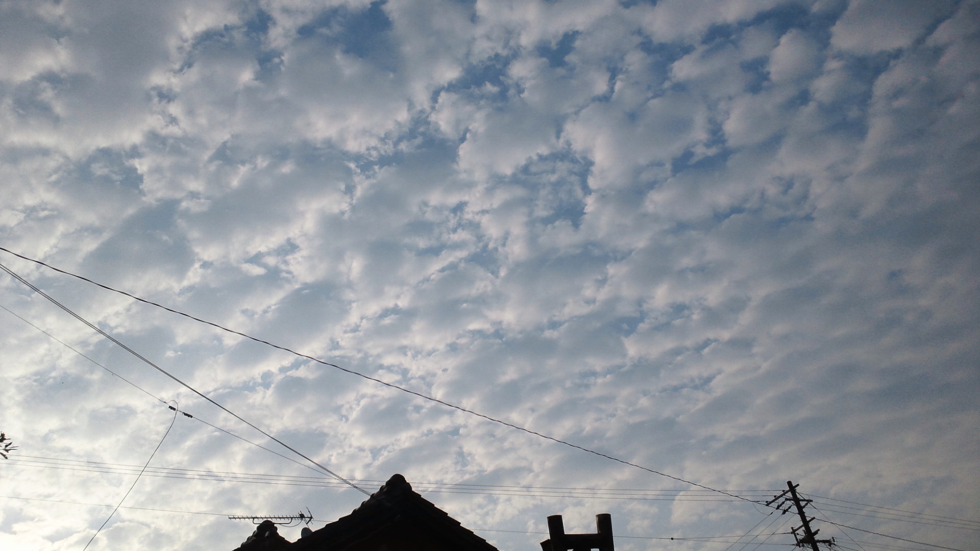 No.18731-1 地震雲