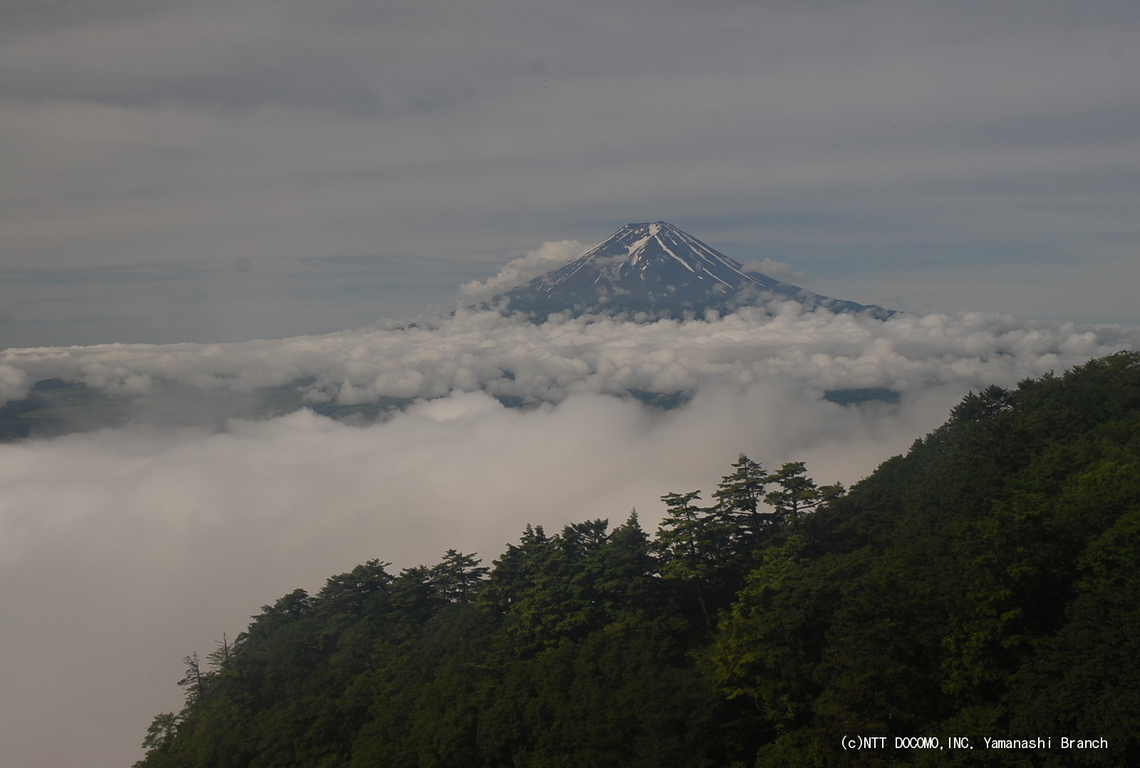 No.18834-1 地震雲