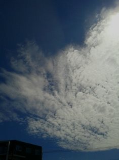 No.18924-1 地震雲